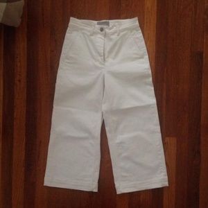 Everlane The Wide Leg Crop Pant Short